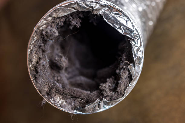 Best Affordable Air Duct Cleaning  in Longbranch, WA